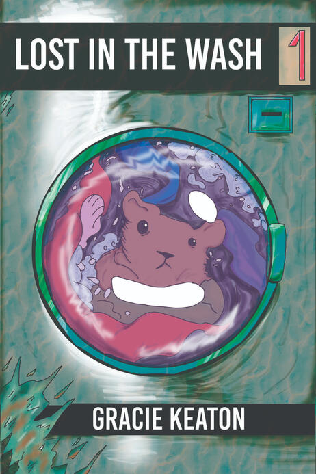 Lost in the Wash - Cover